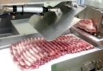 Máy cắt sườn tự động SR-300/SR-360