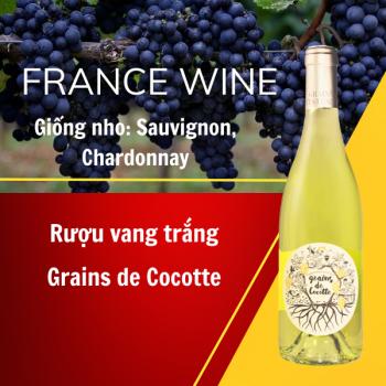 Rượu vang trắng Grains de Cocotte