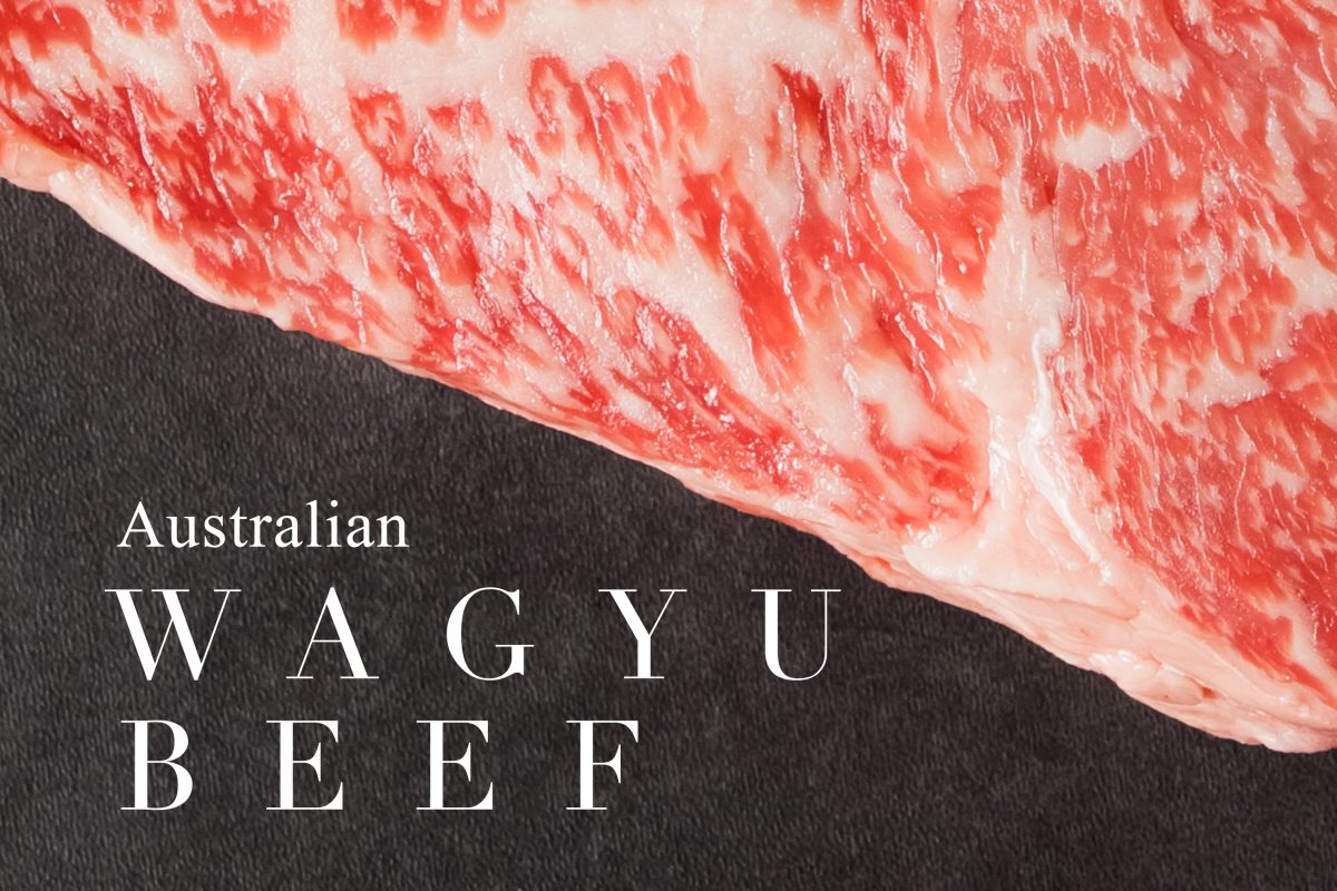 trang trại bò wagyu nam thái