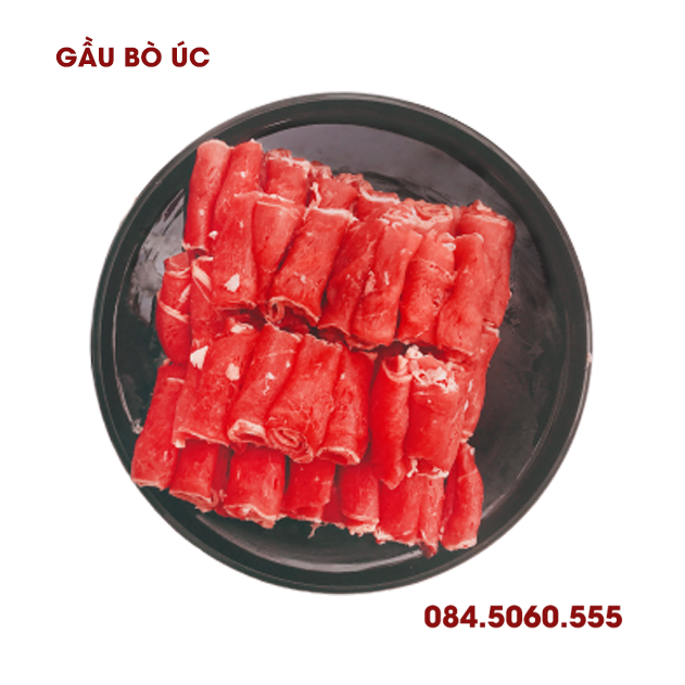 gầu bò úc