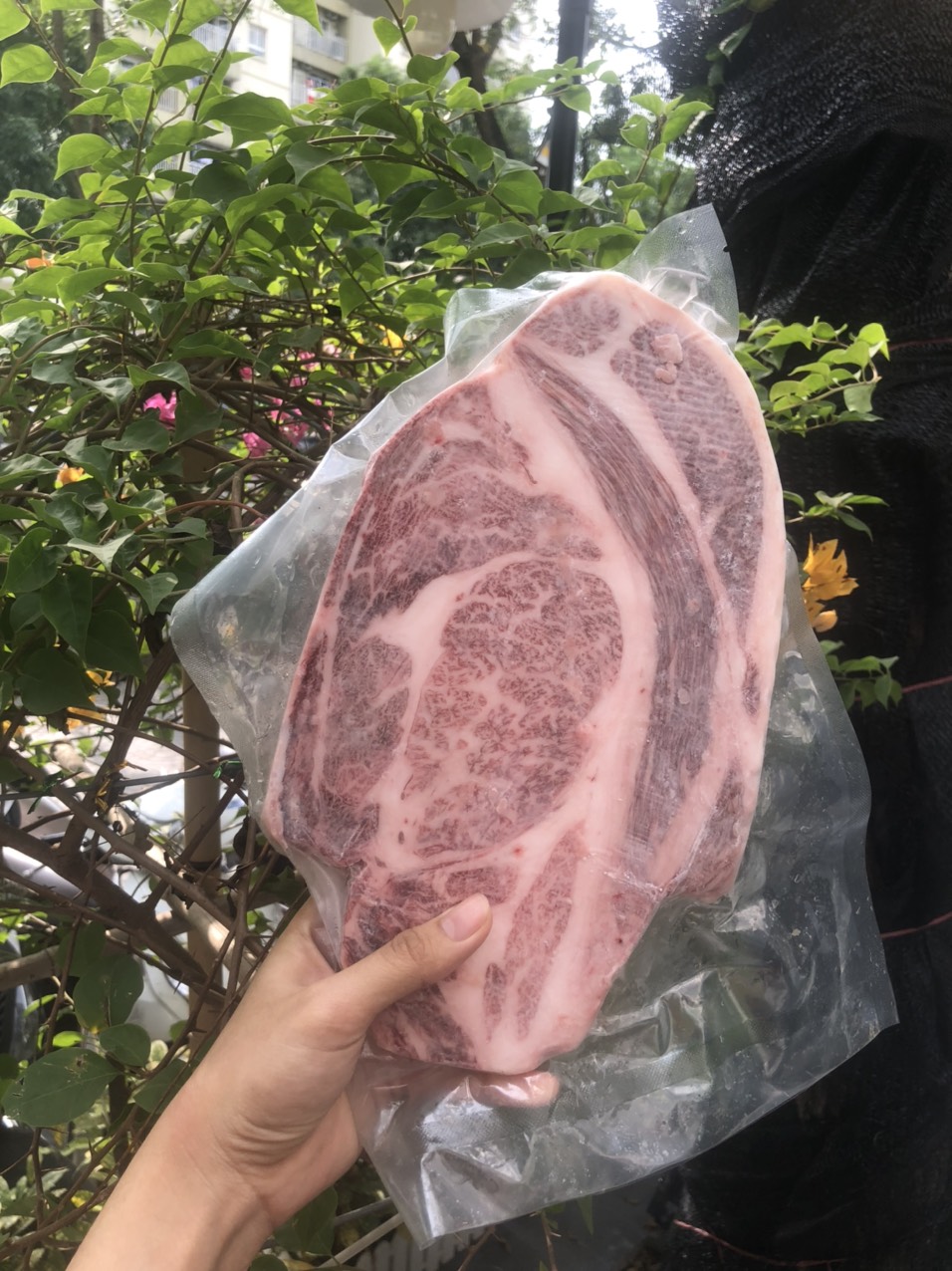 Thăn lưng bò Wagyu Nhật