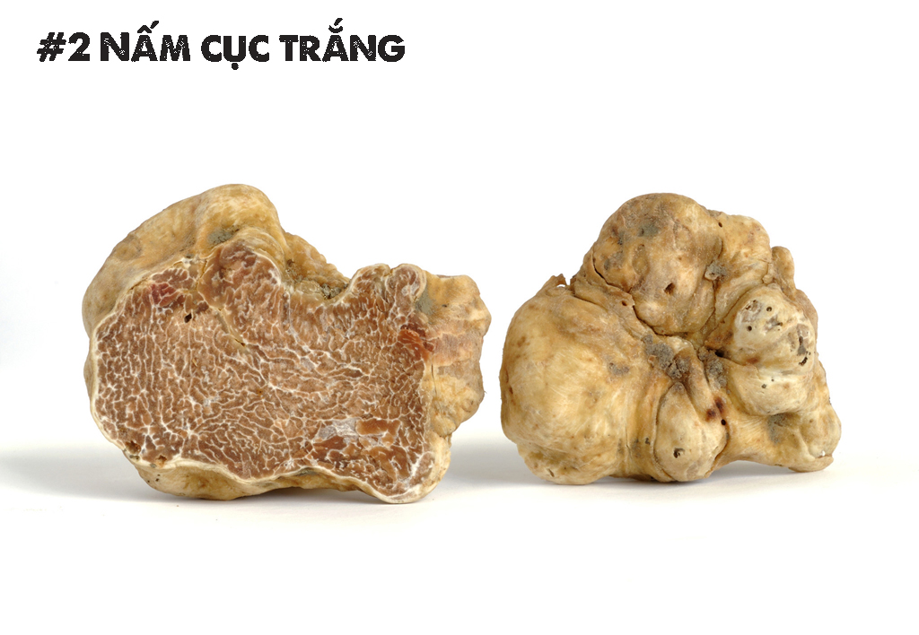 Những loại thực phẩm đắt đỏ của hội nhà giàu thế giới