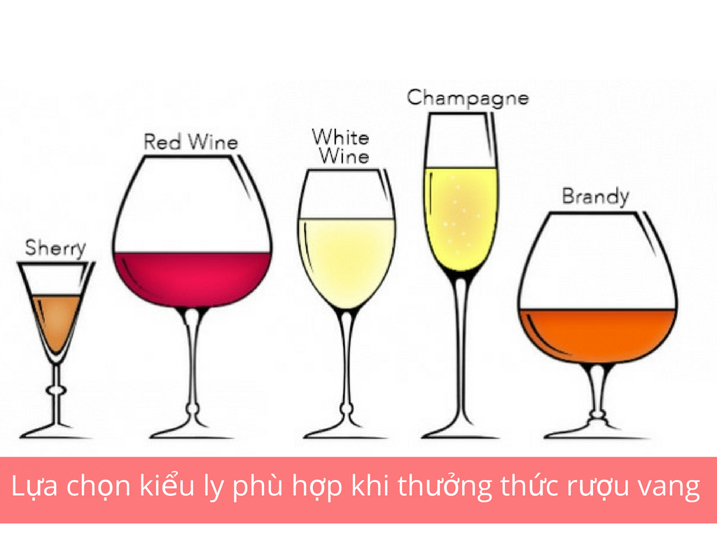 ly uống rượu vang